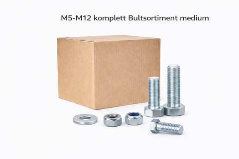 M5-M12 komplett Bultsortiment medium Hel/delgängat 3000 delar 46KG!