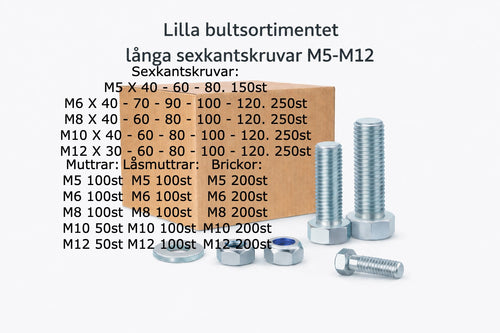 Lilla bultsortimentet Långa sexkantskruvar M5-M12 hel/delgängat