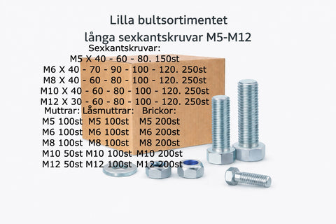 Lilla bultsortimentet Långa sexkantskruvar M5-M12 hel/delgängat